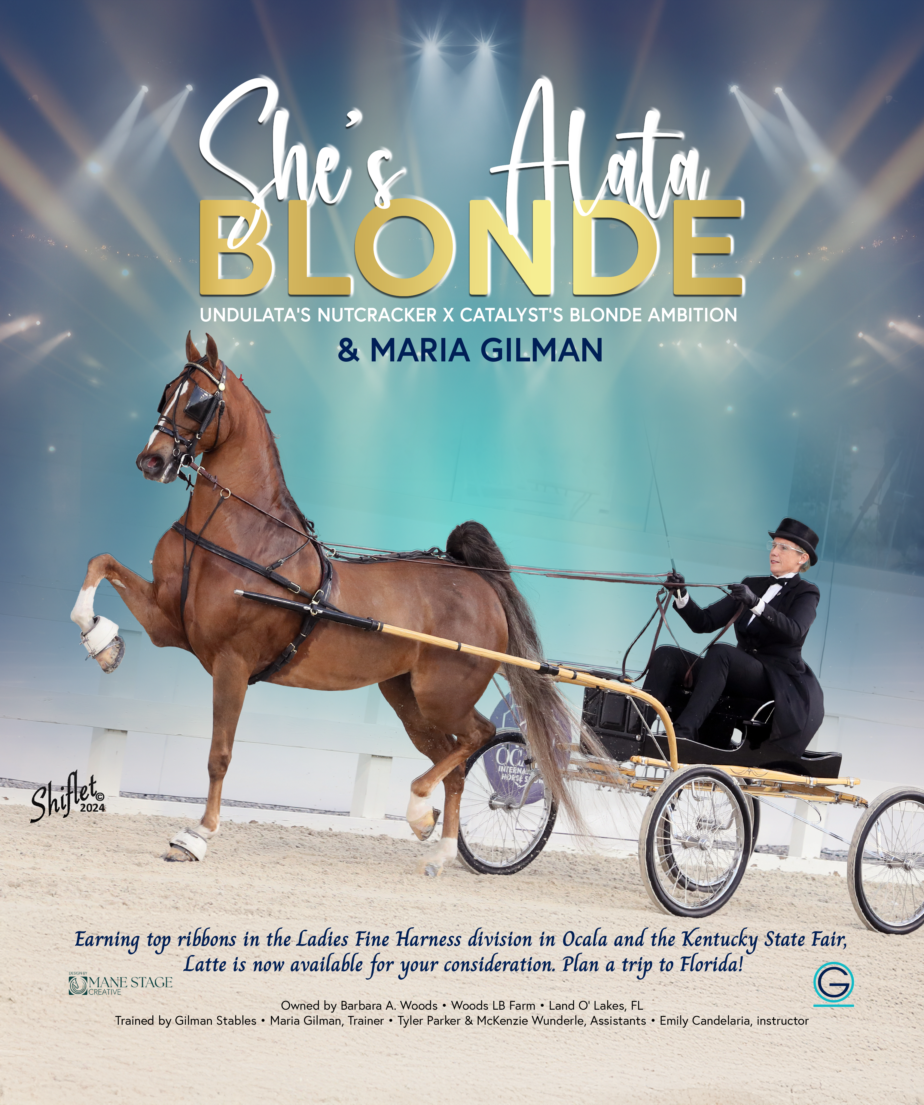 GilmanStables_ShesAlataBlonde_Ocala_2024.png