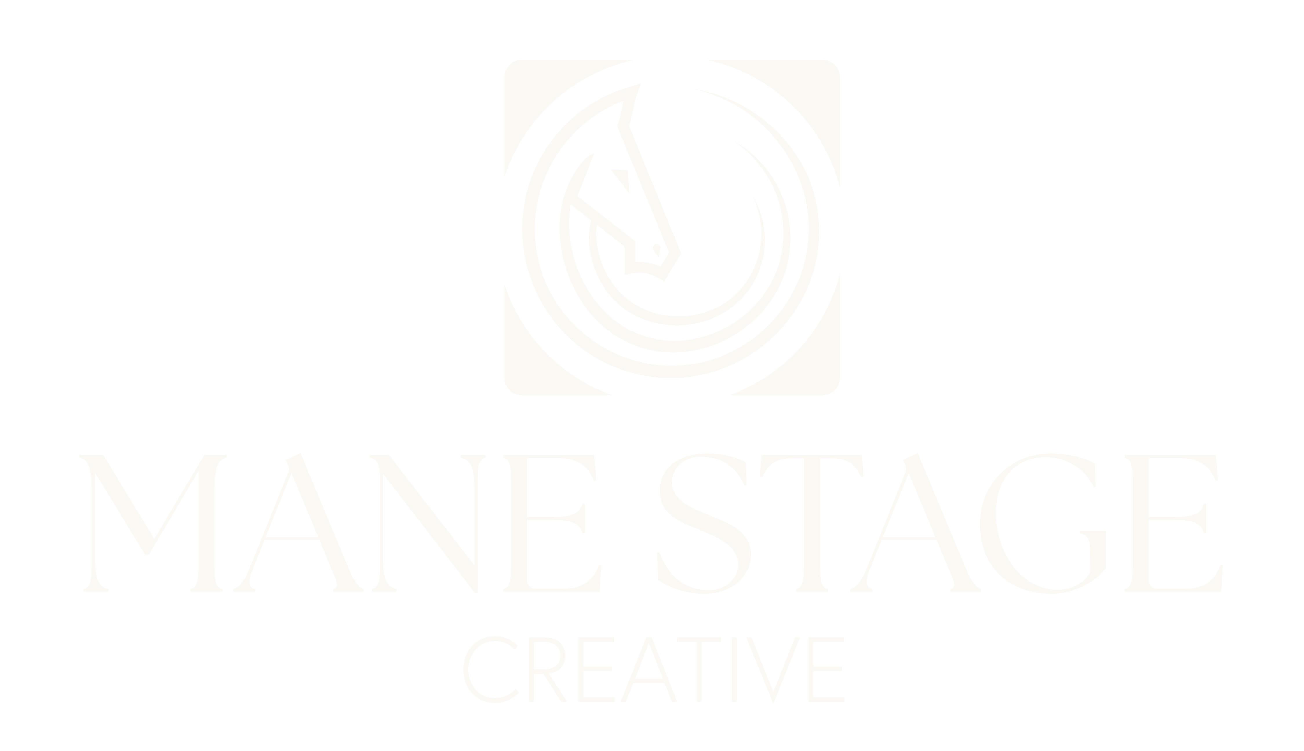 MSC Quick Brand Presentaion .png