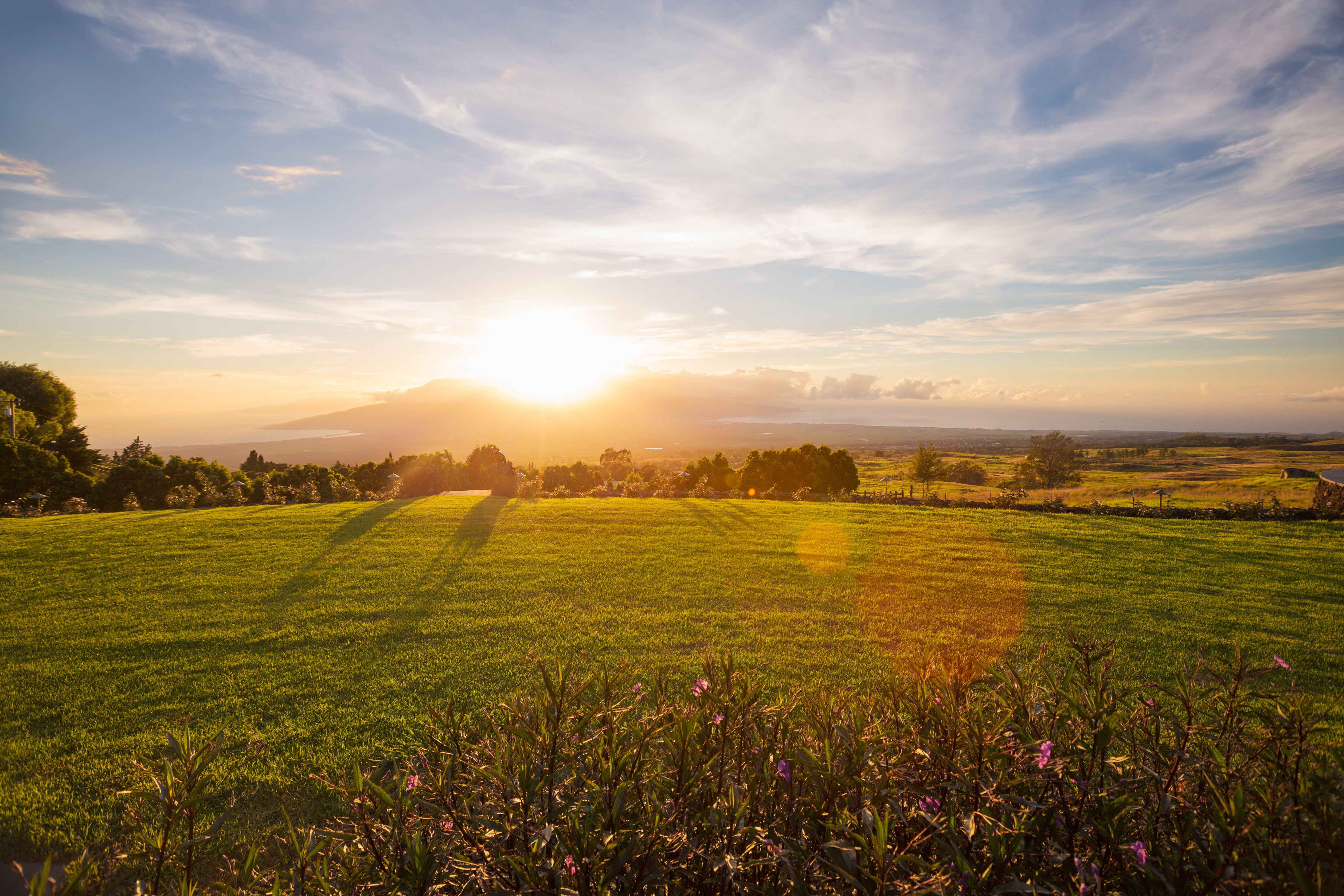 Background image of rolling hills