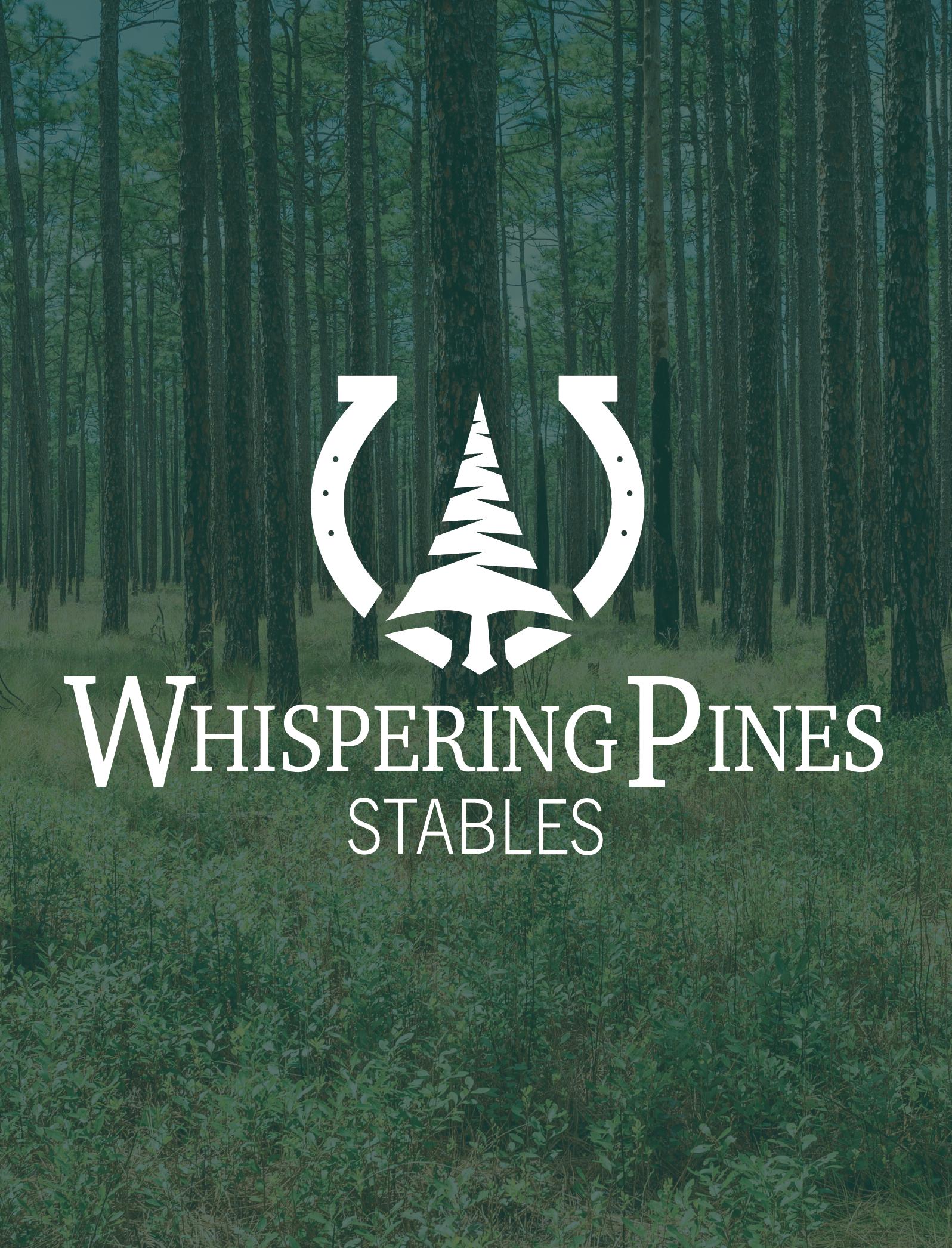 Whispering Pines Stables_Quick Brand Presentaion Guide -03.png