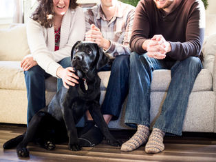 ¿Los animales van al cielo?