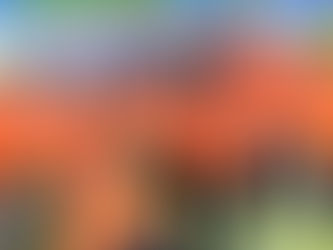 Get set, go! Sign-up for Colfax 5K on May 20