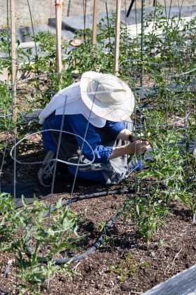 La abadía también cuenta con un gran jardín, que ayuda a alimentar a las hermanas y a sus visitantes
