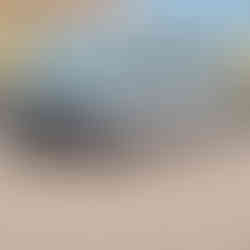 (Foto por Michelle Linnebur)