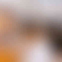 (Foto por André Escaleira, Jr.)