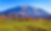 Sopris_Turnbull-field_web.jpg