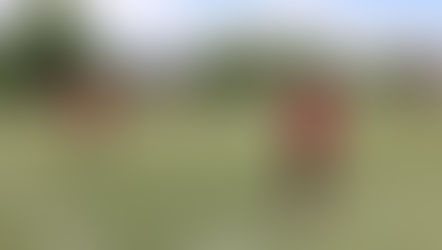 Torneo arquidiocesano de futbol crea comunidad a través del deporte