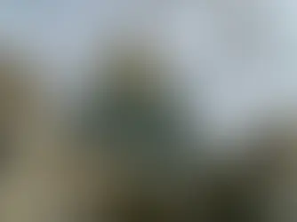 Conferencia Católica de Colorado reacciona ante la promulgación de la ley SB25-183 por el gobernador Jared Polis