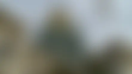 Conferencia Católica de Colorado reacciona ante la promulgación de la ley SB25-183 por el gobernador Jared Polis