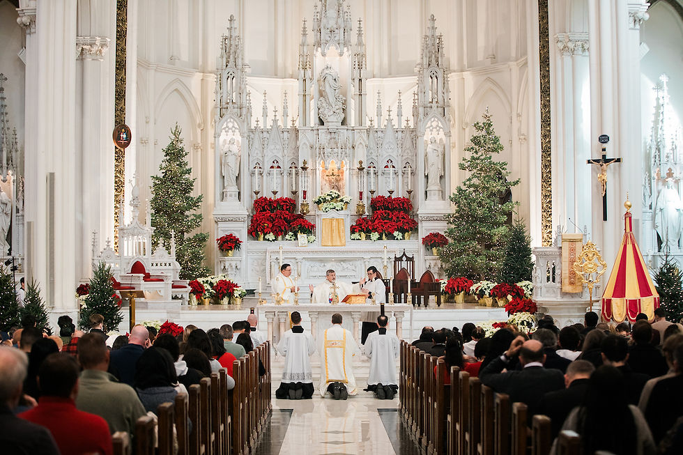 (Foto por Grant Whitty)