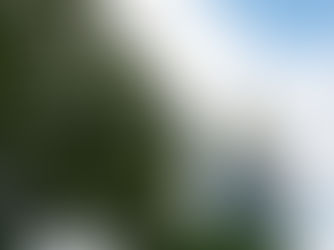 Obispos de Colorado apoyan recolección de firmas para las iniciativas #108, #109 y #110 por los derechos de los padres