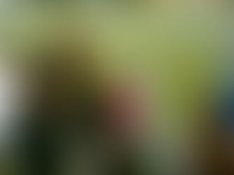 Fe, comunidad e historia cobran vida en los próximos eventos de “Noche en el cementerio” en Mt. Olivet