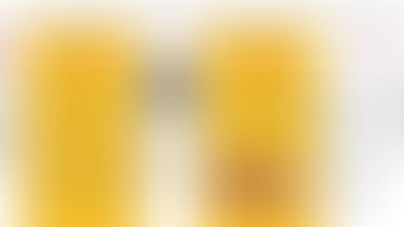 La Iglesia Católica Preservó la Biblia