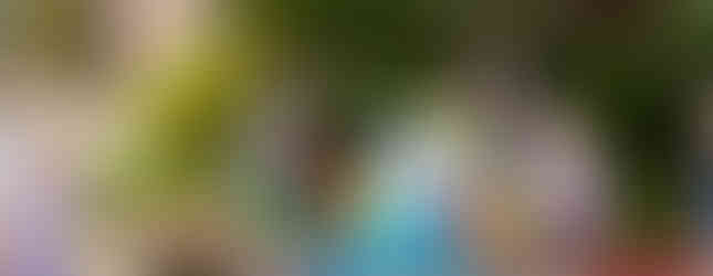 Foto por Allison Holdridge