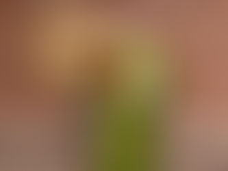 From recovery to redemption: Deacon Phil Harrington’s journey of service and sobriety