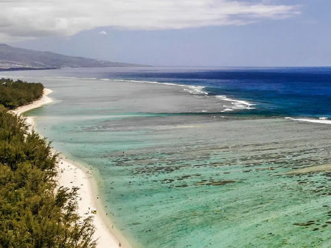 Pléiades Neo Enables Live Coral Detection and Mapping