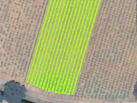 Vine Row Detection with Airbus' Pléiades Satellite Imagery
