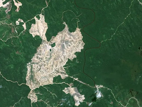 Airbus' Pléiades Neo and Starling supports the European Union Regulation on Deforestation-Free Products (EUDR)
