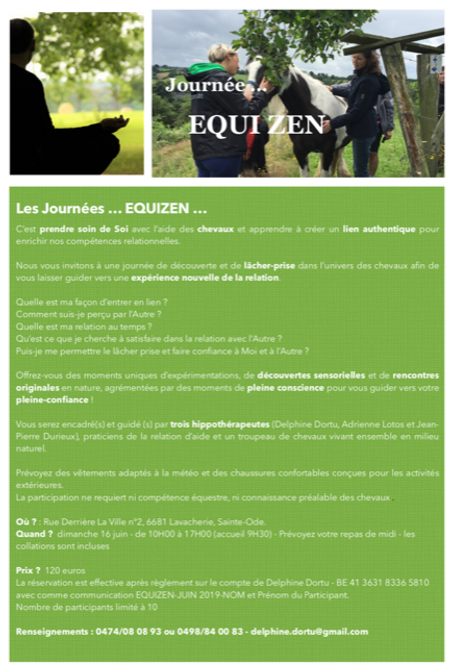 equi zen image.png