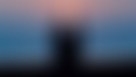 What Is Wix Without Limits?