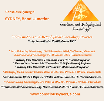 Meme Enrolments 2026 Nov Kineasy Website(1).png