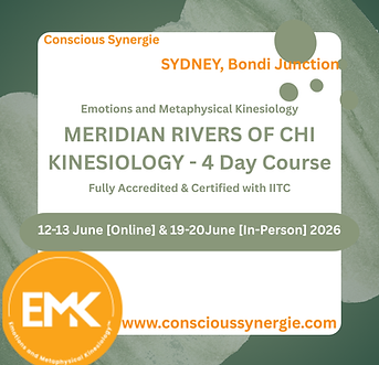 Meme Meridians 2026 June 12-13 Online & June 19-20 InPerson a Logo Socials.png