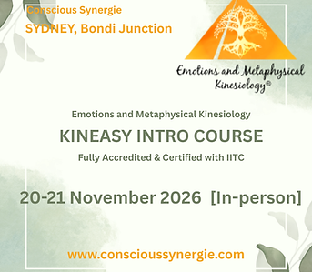 Meme Kineasy 2026 November 20-21 In-Person Logo Website.png