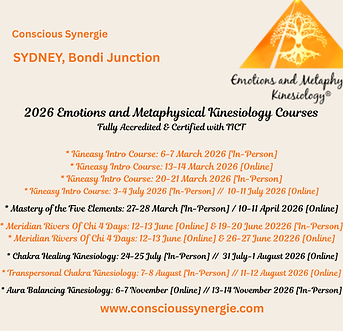 Meme Enrolments 2026 Kineasy Extra Website.png