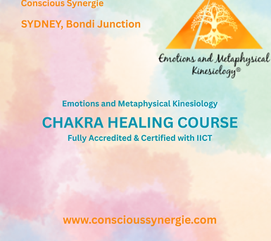 Meme Chakra Course Logo Website.png