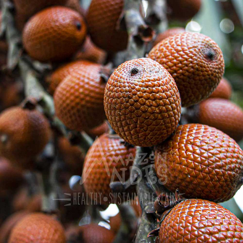 Miniature : Poudre de fruits Aguaje - Biologique