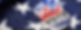 vote_flag.png