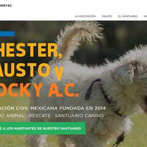 CHERTER, FAUSTO & ROCKY A.C.