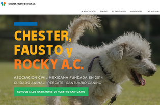 CHERTER, FAUSTO & ROCKY A.C.