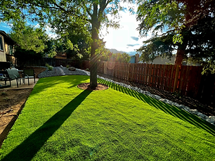 Green grass yard in Colorado Springs