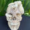 Thumbnail: Carved Human Skull with Cobra Snake Coming out