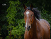 Warmia - historyczny i klimatyczny Pasłęk