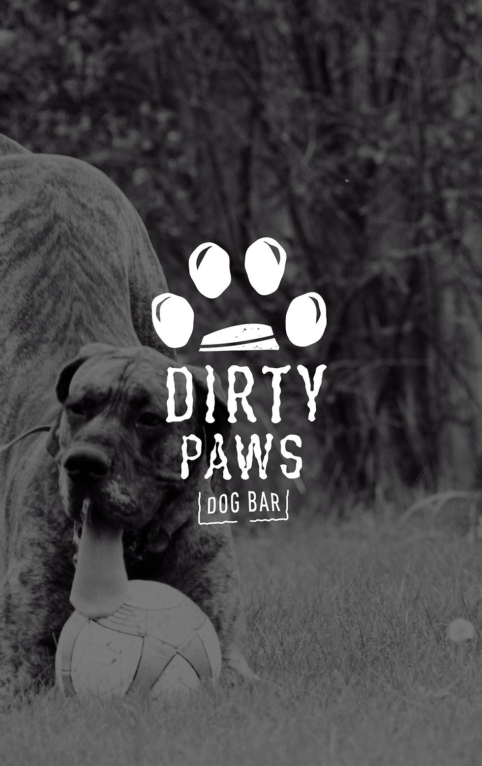 DirtyPawsDogBar-01.jpg
