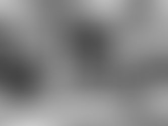 Double storey house with a double garage