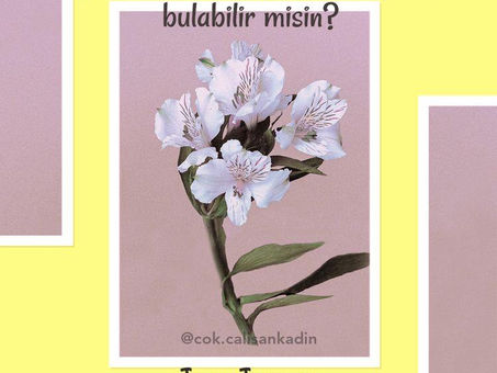 Bir Söz