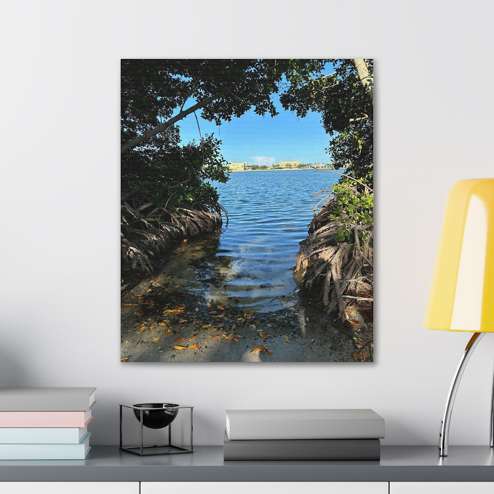 Thumbnail: Hidden Mangrove Shoreline Coastal Nature Canvas Wall Art–Timeless Collection