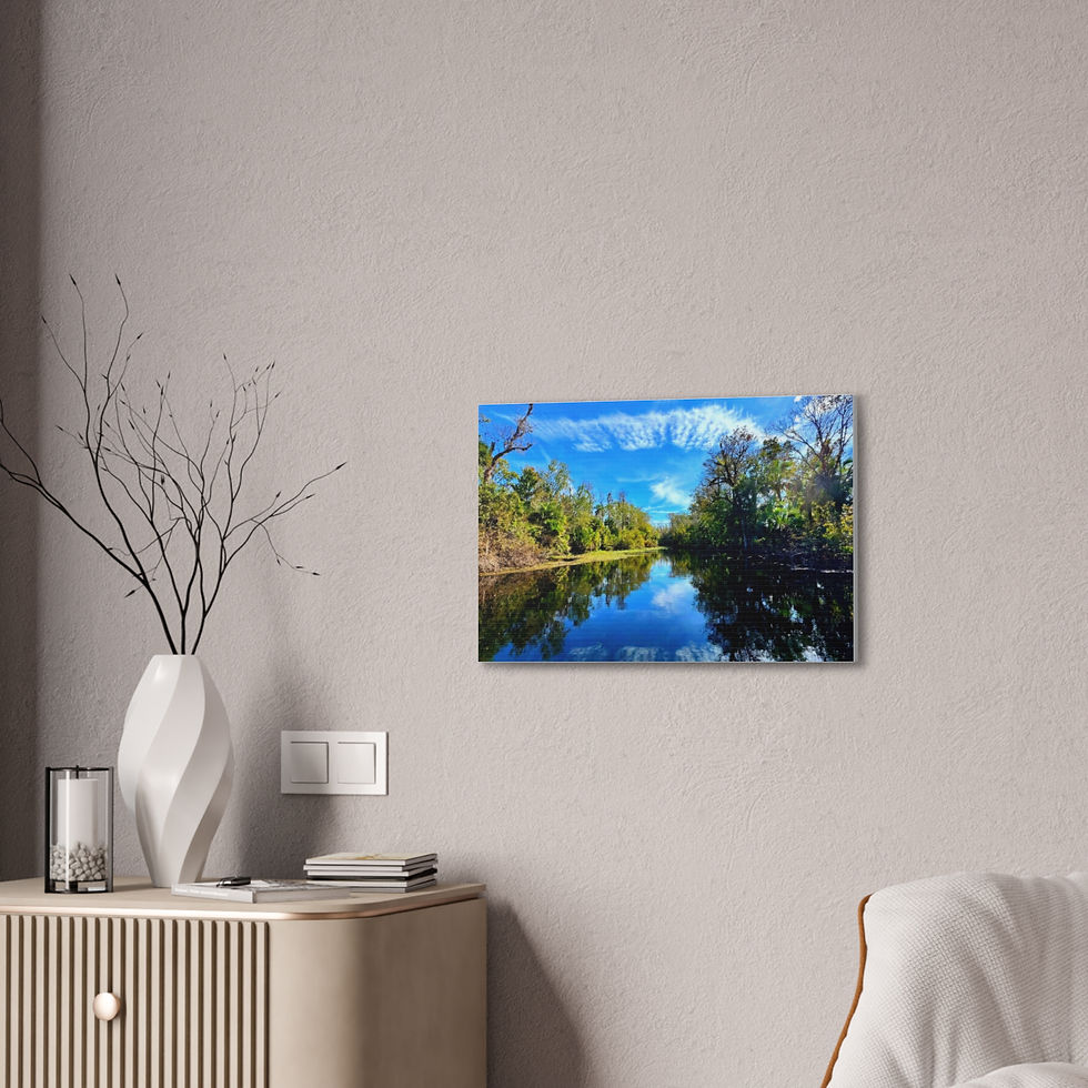 Thumbnail: Elegant Nature Canvas of a Dreamy Florida Waterscape – Timeless Collection