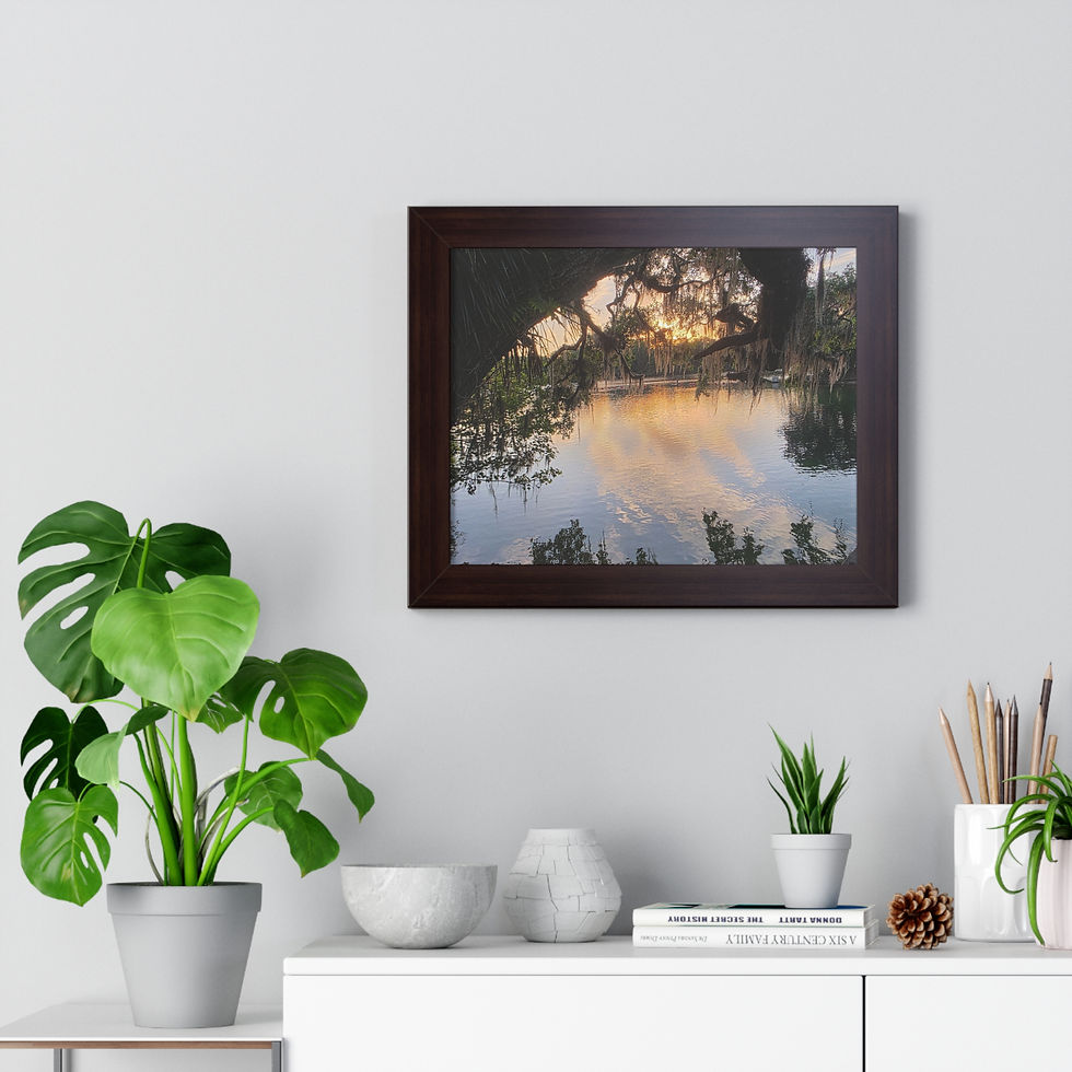 Thumbnail: SUNSET at Blue Springs State Park Framed Wall Art – 11×14 Nature Print