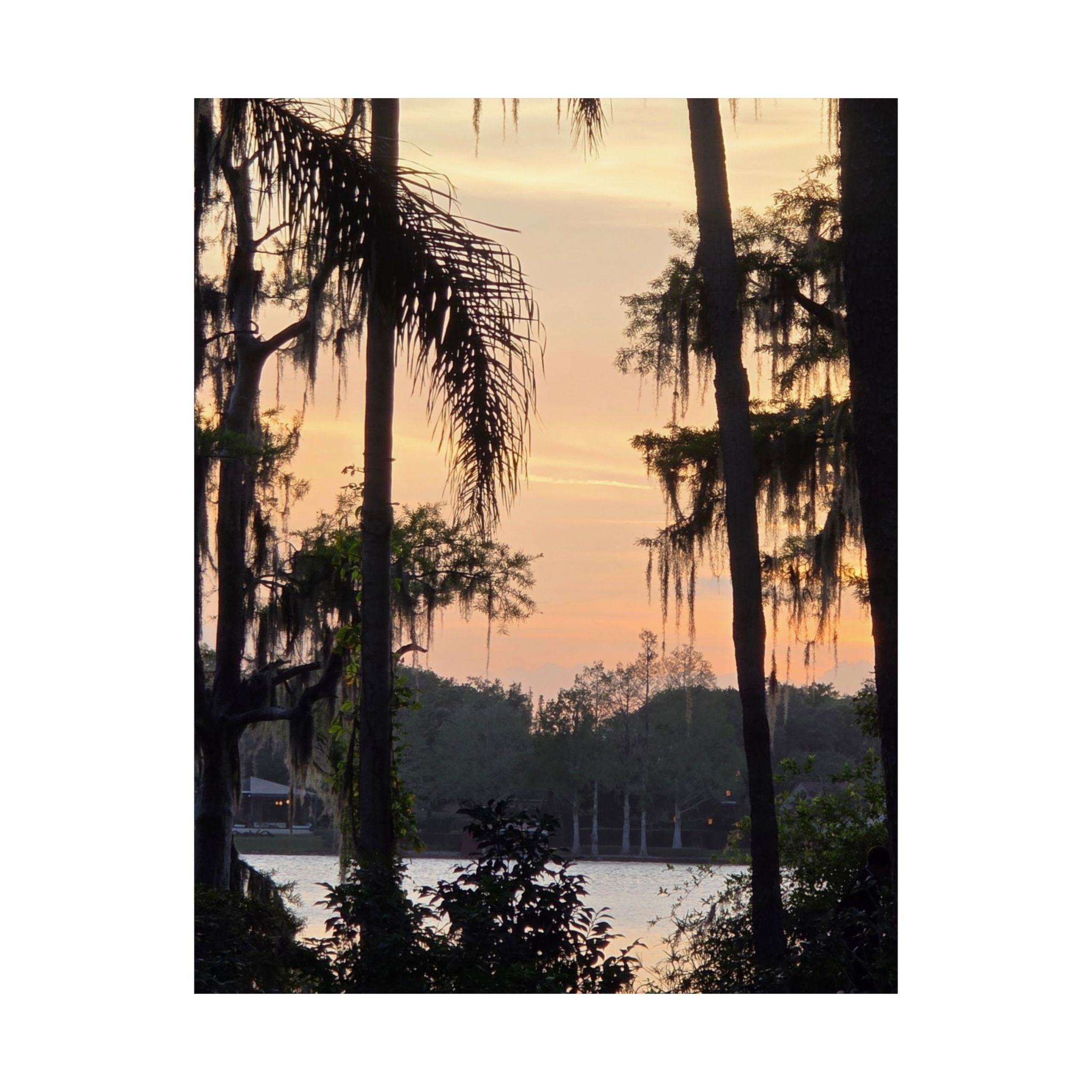 Kraft Azalea Garden Sunset Poster – Winter Park Florida Wall Art