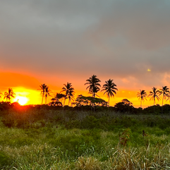 Hawaii.png
