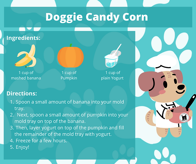 Doggie candy corn