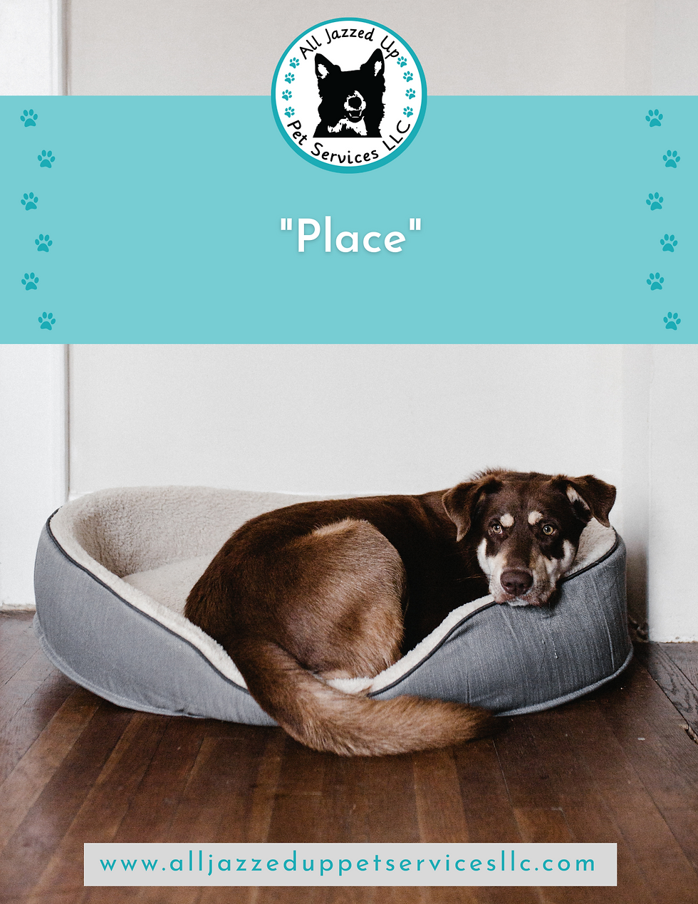 brown dog in a comfy bed