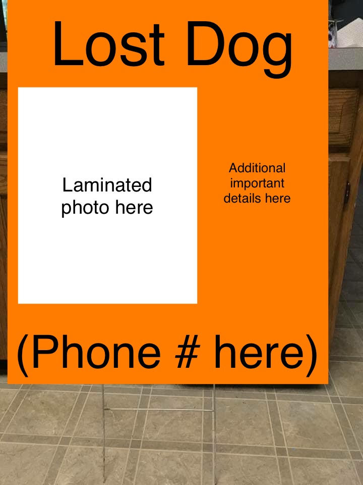 florescent orange yard sign example. it reads in large bold font "Lost Dog". Put laminated photo here. Additional important details here. Phone # here in large bold font.