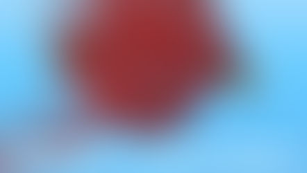 O VÁNOCÍCH AKCE 1 + 1 !