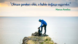 Amor Fati, Kaderini Sevmek