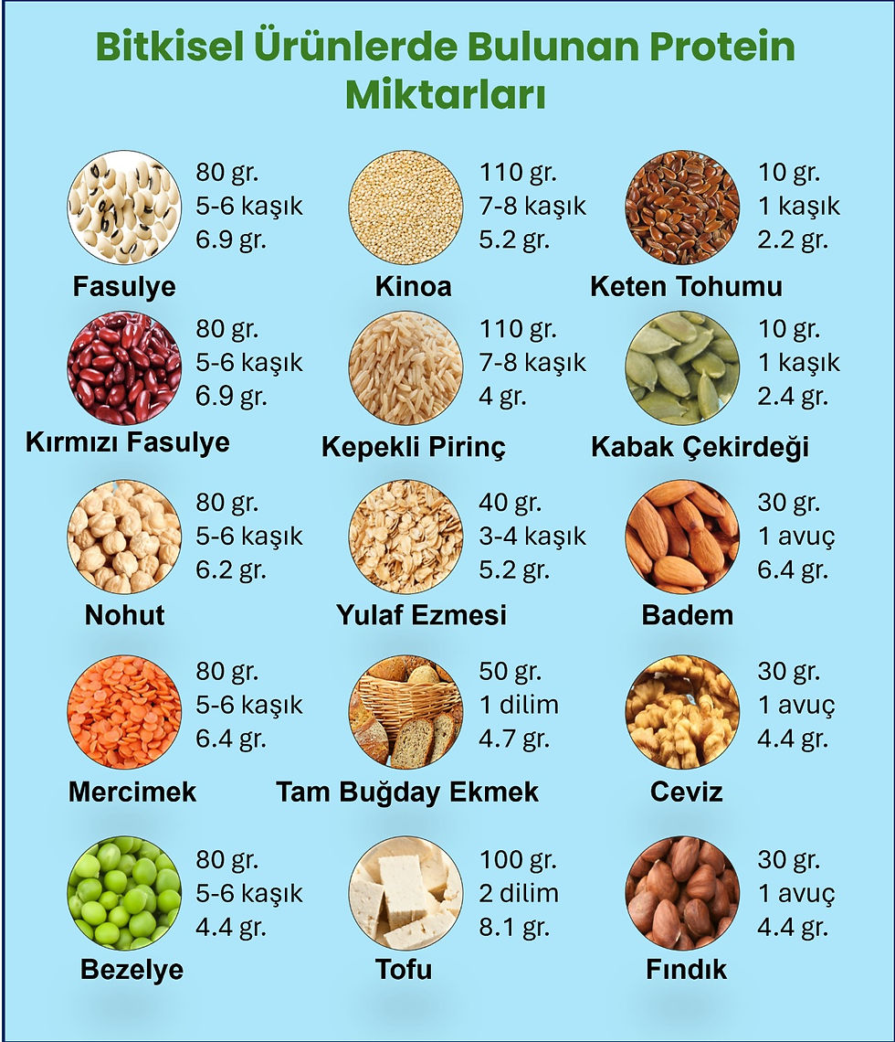 Protein değeri yüksek besinler tablosu
